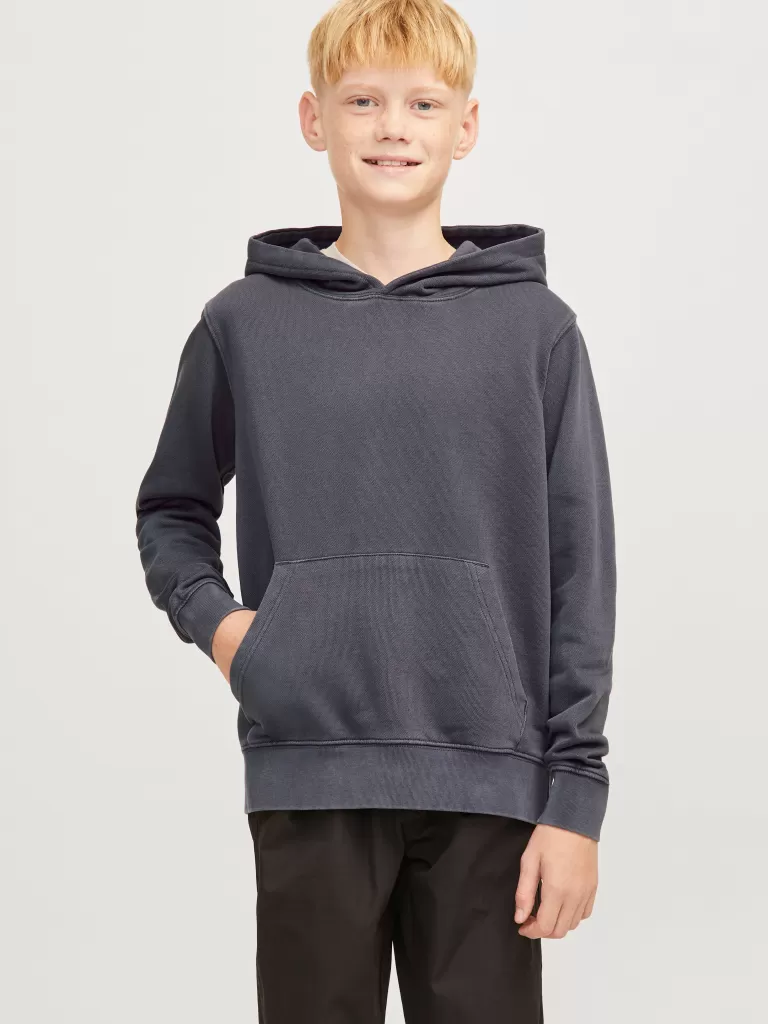 JACK & JONES Bluzy | Wyprzedaż^Gładki Bluza z kapturem Junior Szary